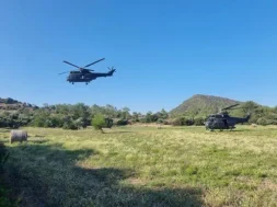 cache_780x1200_analog_medium_5238499_1137706_13072023111456-thumb