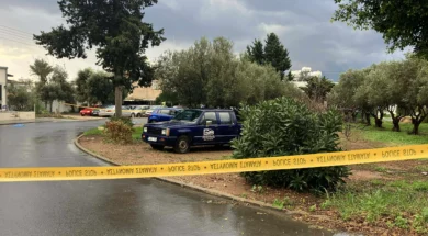 doc202601189675173pafos_fonos-thumb