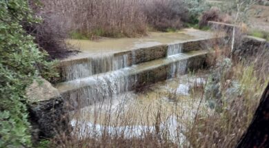 ea3357f8-0f84-4885-8153-6fffb96fe75f