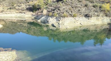 efa4c126-3ef3-4231-b320-00336539976b