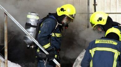 fotia-oikiakipsod-2-696×418