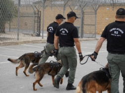 fylakes-ereunes-2706