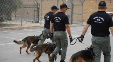 fylakes-ereunes-2706