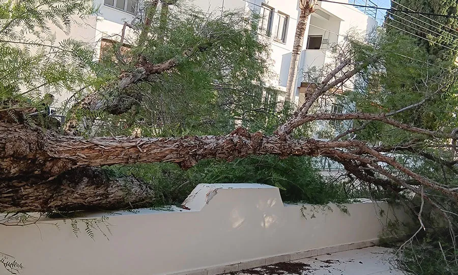 Έτρεχε χθες η Πυροσβεστική λόγω σφοδρών ανέμων – Πτώσεις δέντρων και στεγάστρων