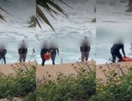 kakopoihsh-xelonas-xloraka