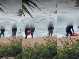 kakopoihsh-xelonas-xloraka