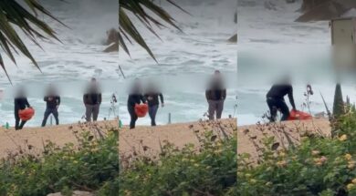 kakopoihsh-xelonas-xloraka