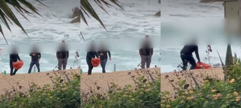 kakopoihsh-xelonas-xloraka