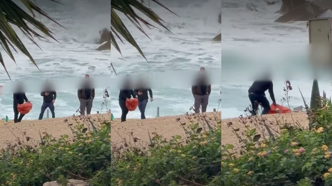 «Ποινικό αδίκημα, όχι αμέλεια» λέει η Επίτροπος για τη νεκρή χελώνα