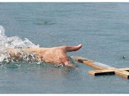 katadyshmhtrverias2024-2