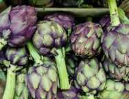 martin-adams-5xxfymman84-unsplash