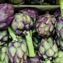 martin-adams-5xxfymman84-unsplash