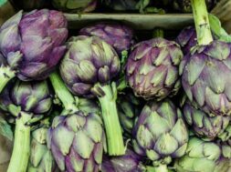 martin-adams-5xxfymman84-unsplash