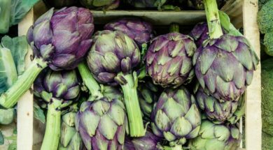 martin-adams-5xxfymman84-unsplash