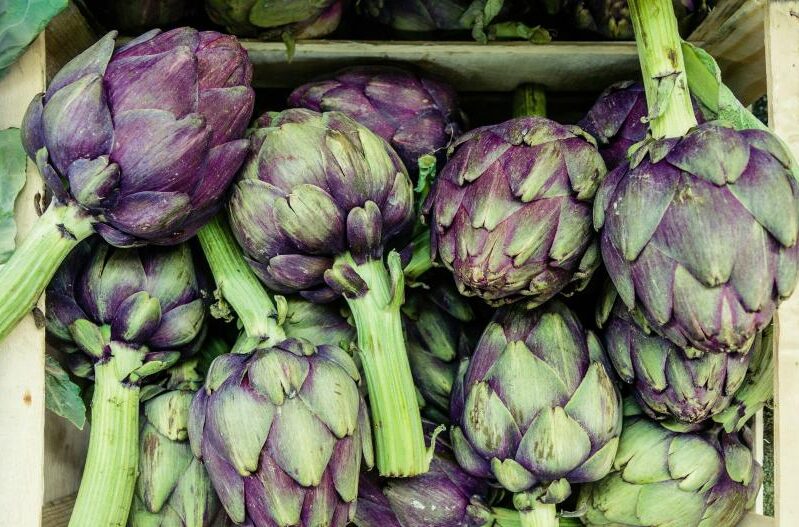 martin-adams-5xxfymman84-unsplash