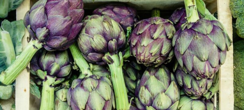 martin-adams-5xxfymman84-unsplash