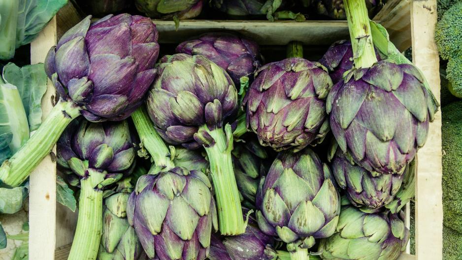 Το Κίτι ετοιμάζεται για το 7ο Φεστιβάλ Αγκινάρας