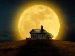 moon-4113106_1280.2e16d0ba.fill-1375×729