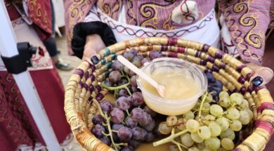 palouzes1.2e16d0ba.fill-1375×729