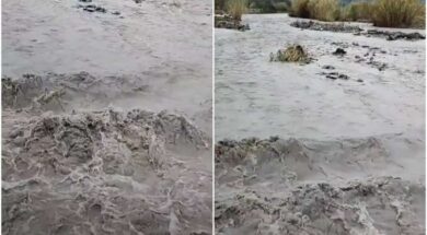 potamosnata-1068×657