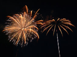 purotexnimata_vaggalika