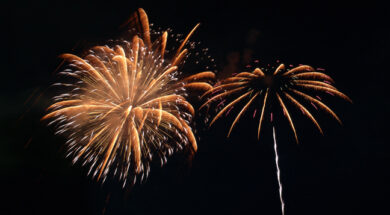 purotexnimata_vaggalika