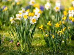 shutterstock_1663207063