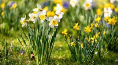 shutterstock_1663207063