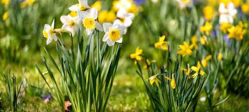 shutterstock_1663207063