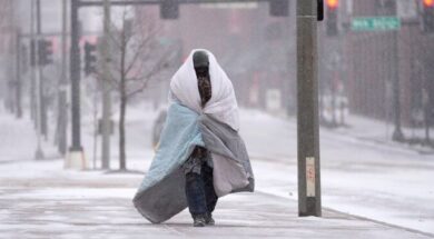 skynews-usa-weather-snow-st-louis_6004434-740×375