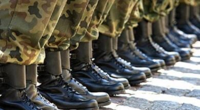 stratiotiki-thiteia-1