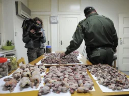 tekmiria_ypothesis_lathrothirias_1822011_3-large_thumbnail