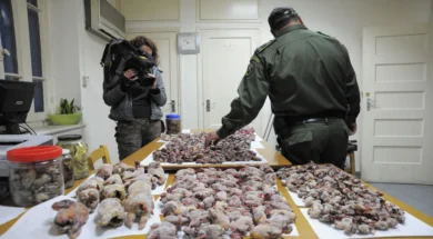 tekmiria_ypothesis_lathrothirias_1822011_3-large_thumbnail