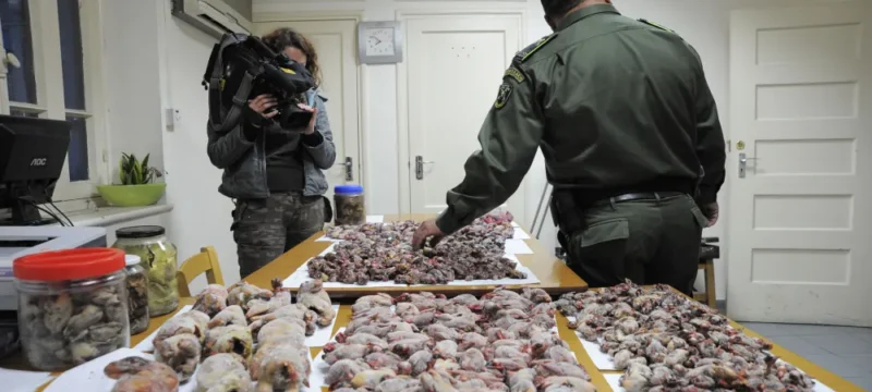 tekmiria_ypothesis_lathrothirias_1822011_3-large_thumbnail