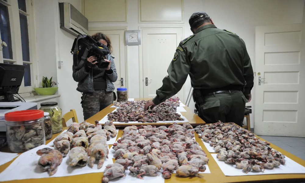 Κάμερες σώματος στους θηροφύλακες – Θα οπλοφορούν και οι ωρομίσθιοι