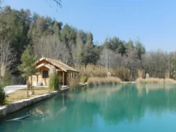 trimiklini-large_thumbnail