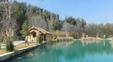 trimiklini-large_thumbnail