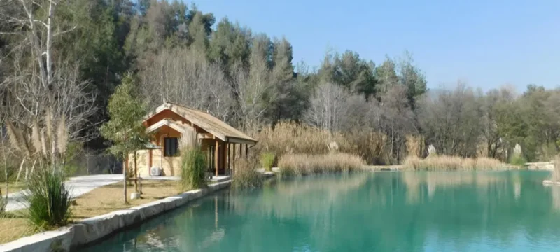 trimiklini-large_thumbnail