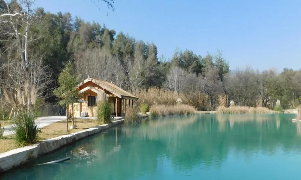 Ο πρώην διευθυντής Τμήματος Αλιείας ζητά από Αρχή κατά Διαφθοράς να αναθεωρήσει ανακοίνωση «για αποκατάσταση της υπόληψης του»