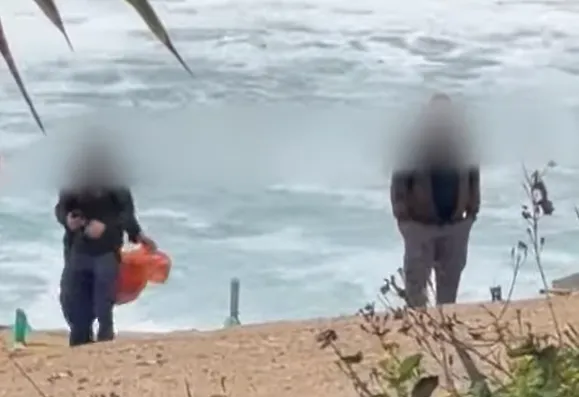 Διορίστηκαν δύο ερευνώντες λειτουργοί για τη βάναυση κακομεταχείριση της χελώνας