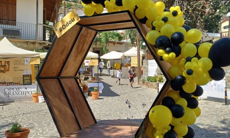 ΦΕΣΤΙΒΑΛ-ΜΕΛΙΟΥ-ΟΔΟΥ-2