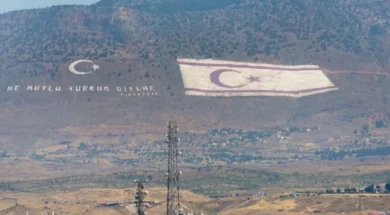 1568273614703-209350186-768×492-1