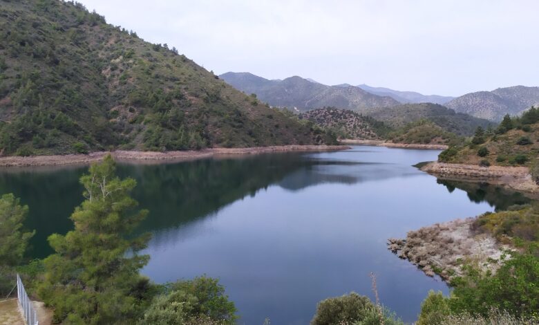 175973501_4054324857981161_1061634986540220520_n