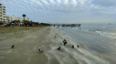 2af4b4a8-94ed-44a8-b8ee-f2153f0ef241