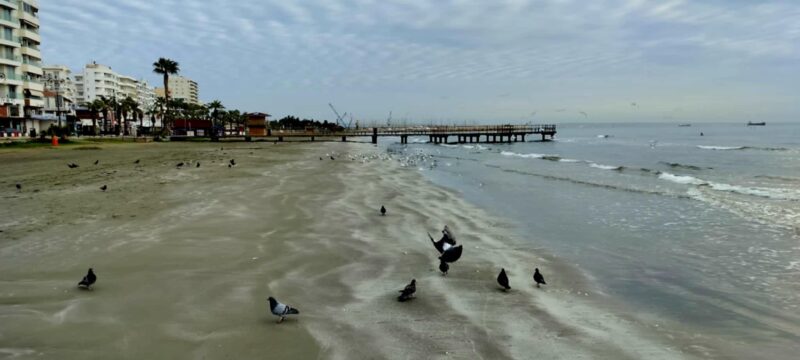 2af4b4a8-94ed-44a8-b8ee-f2153f0ef241