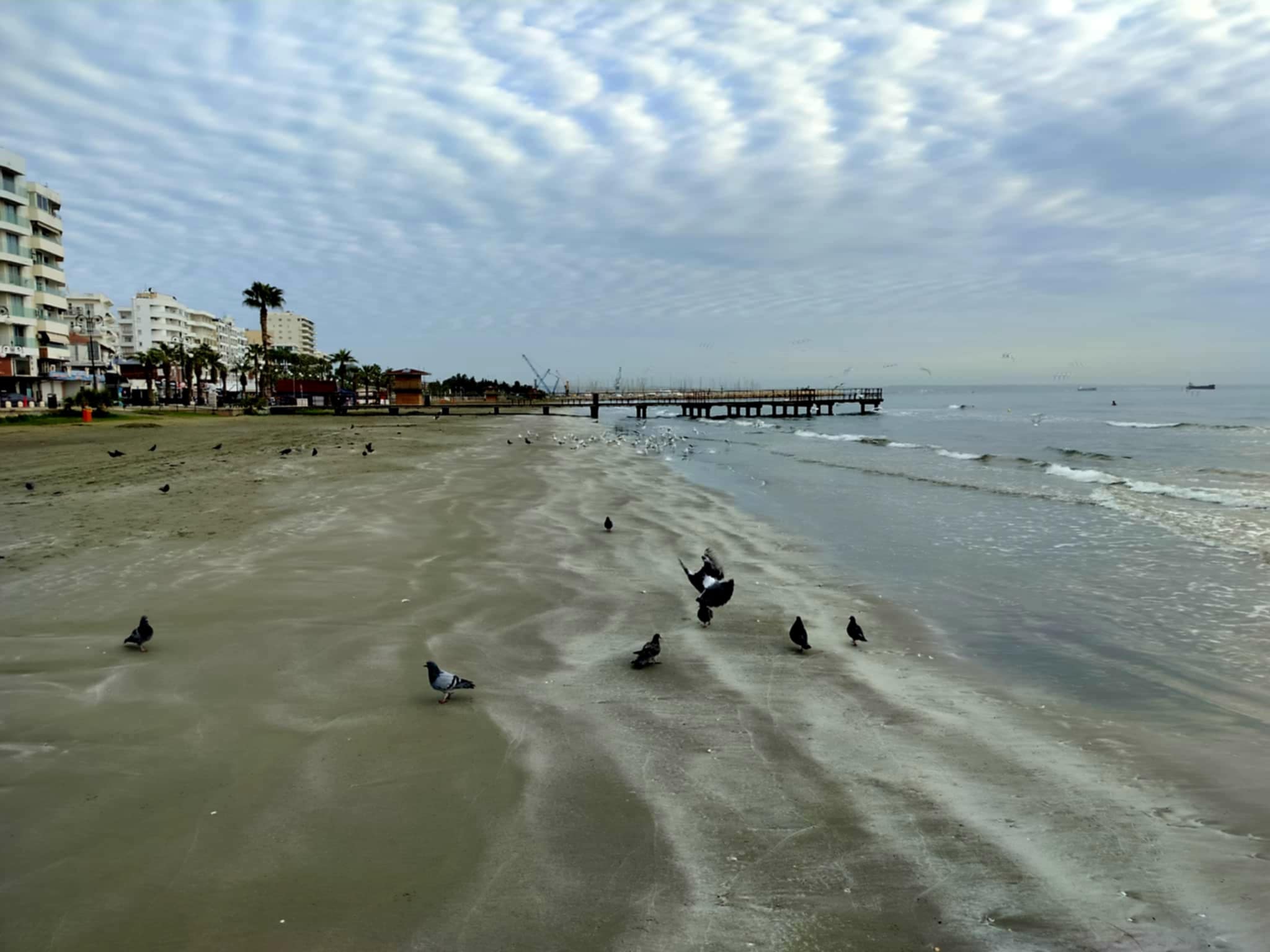 Η πρωινή ενημέρωση της ημέρας από τη Σκαλιώτισσα