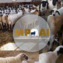 324751164_572973020918462_1501219388017791690_n