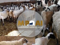 324751164_572973020918462_1501219388017791690_n