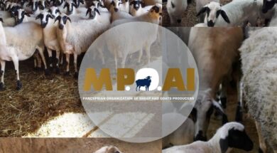 324751164_572973020918462_1501219388017791690_n