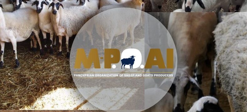 324751164_572973020918462_1501219388017791690_n